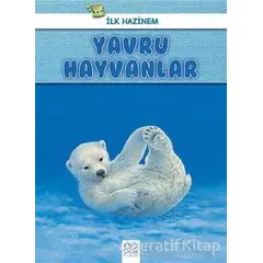 Yavru Hayvanlar - İlk Hazinem - Denise Ryan - 1001 Çiçek Kitaplar