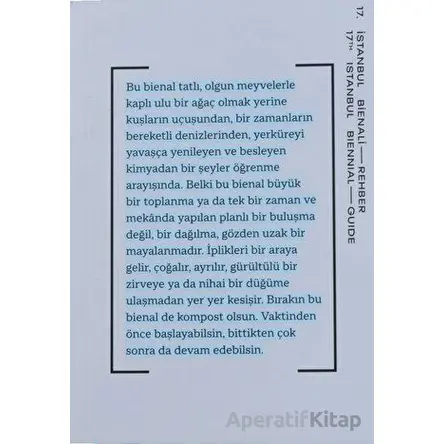 17. İstanbul Bienali - Rehber - Kolektif - Yapı Kredi Yayınları