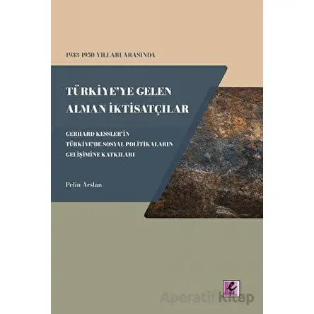 1933 - 1950 Yılları Arasında Türkiyeye Gelen Alman İktisatçılar - Gerhard Kesslerin Türkiyede Sosyal