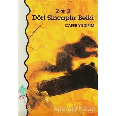 2 x 2 Dört Sincaptır Belki - Cafer Yıldırım - Kaynak Çocuk Yayınları