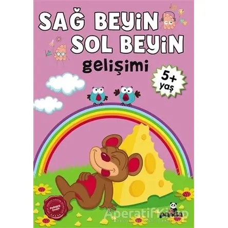 Sağ Beyin - Sol Beyin Gelişimi +5 Yaş - Kolektif - Beyaz Panda Yayınları