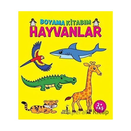 Boyama Kitabım - Hayvanlar - Kolektif - Pal Sokağı Yayınları