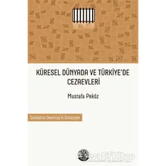 Küresel Dünyada ve Türkiye’de Cezaevleri - Mustafa Peköz - Vivo Yayınevi