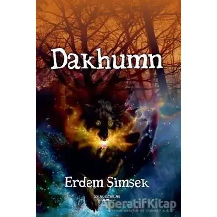 Dakhumn - Erdem Şimşek - Sokak Kitapları Yayınları
