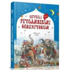 Sevgili Peygamberimi Öğreniyorum - Mehmet Doğru - Damla Yayınevi