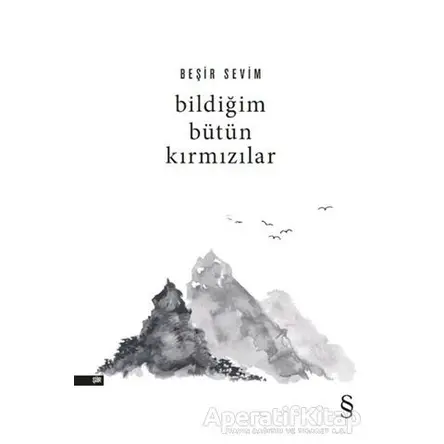 Bildiğim Bütün Kırmızılar - Beşir Sevim - Everest Yayınları