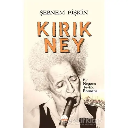 Kırık Ney - Şebnem Pişkin - Kent Kitap