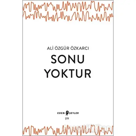 Sonu Yoktur - Ali Özgür Özkarcı - Edebi Şeyler