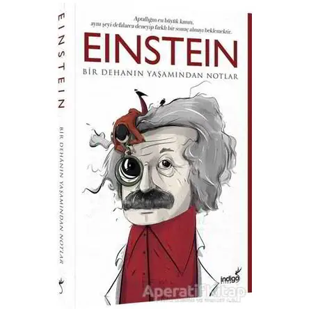 Einstein - Kolektif - İndigo Kitap