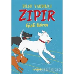 Zıpır Gizli Görev - Dilek Yardımcı - Tudem Yayınları