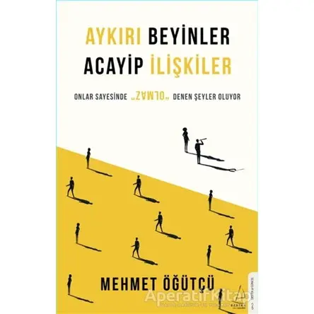 Aykırı Beyinler Acayip İlişkiler - Mehmet Öğütçü - Destek Yayınları