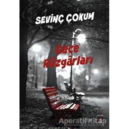 Gece Rüzgarları - Sevinç Çokum - Kapı Yayınları