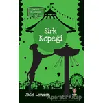 Sirk Köpeği - Çocuk Klasikleri 9 - Jack London - Dahi Çocuk Yayınları