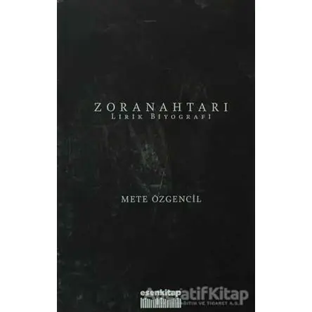 Zor Anahtarı - Mete Özgencil - Esen Kitap