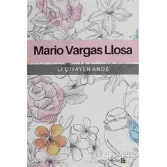 Li Çiyayen Ande - Mario Vargas Llosa - Avesta Yayınları