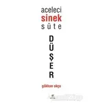 Aceleci Sinek Süte Düşer - Gökhan Okçu - ELMA Yayınevi