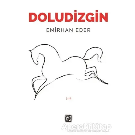 Doludizgin - Emirhan Eder - Kutlu Yayınevi