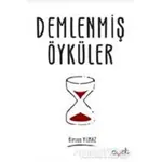 Demlenmiş Öyküler - Birsen Yılmaz - Ayzıt Yayınları