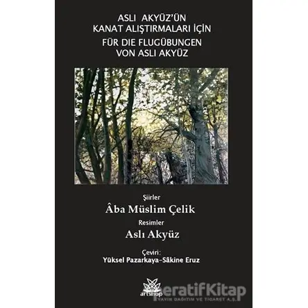 Aslı Akyüzün Kanat Çalışmaları İçin - Aba Müslim Çelik - Artshop Yayıncılık