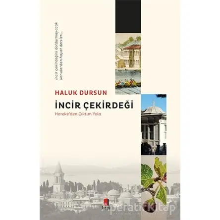 İncir Çekirdeği - Haluk Dursun - Kapı Yayınları