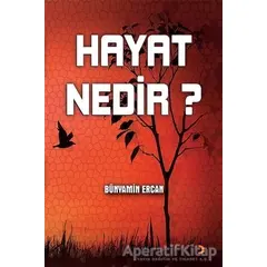 Hayat Nedir? - Bünyamin Ercan - Cinius Yayınları