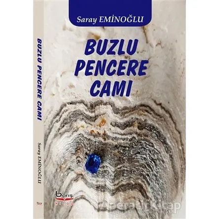 Buzlu Pencere Camı - Saray Eminoğlu - Barış Kitap