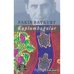 Kaplumbağalar - Fakir Baykurt - Literatür Yayıncılık