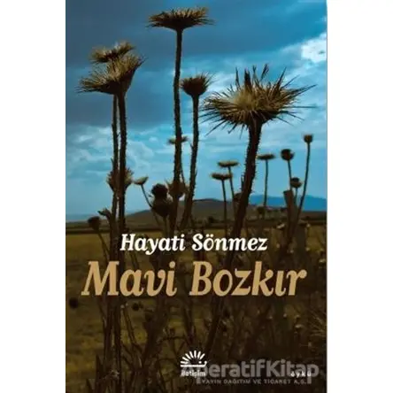 Mavi Bozkır - Hayati Sönmez - İletişim Yayınevi