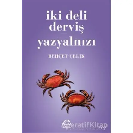 İki Deli Derviş - Yazyalnızı - Behçet Çelik - İletişim Yayınevi