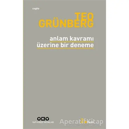 Anlam Kavramı Üzerine Bir Deneme - Teo Grünberg - Yapı Kredi Yayınları