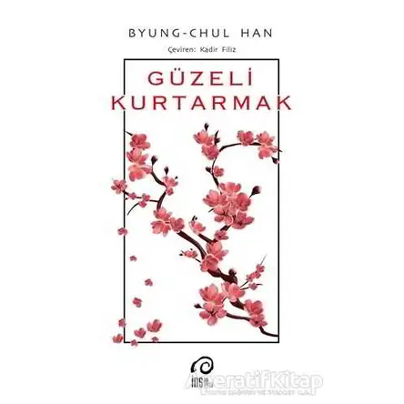 Güzeli Kurtarmak - Byung Chul Han - İnsan Yayınları