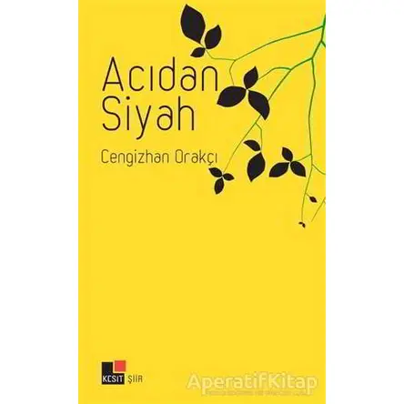 Acıdan Siyah - Cengizhan Orakçı - Kesit Yayınları