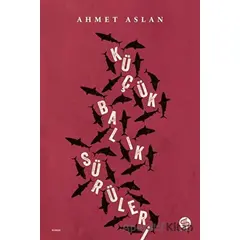 Küçük Balık Sürüleri - Ahmet Aslan - Sahi Kitap