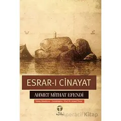 Esrar-ı Cinayat - Ahmet Mithat Efendi - Tema Yayınları