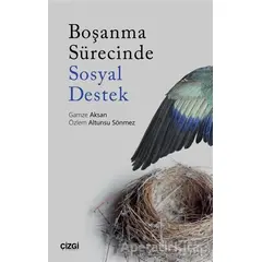 Boşanma Sürecinde Sosyal Destek - Özlem Altunsu Sönmez - Çizgi Kitabevi Yayınları