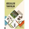 Böcekleri Tanıyalım - A. Faruk Özgür - Akademisyen Kitabevi