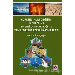 Küresel İklim Değişimi Biyoenerji Enerji Ormancılığı ve Yenilenebilir Enerji Kaynakları