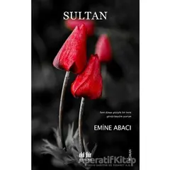 Sultan - Emine Abacı - Akıl Fikir Yayınları