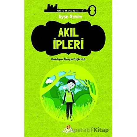 Akıl İpleri - Ayşe Sevim - Düş Değirmeni