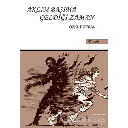 Aklım Başıma Geldiği Zaman - Özkut Özkan - Sokak Kitapları Yayınları