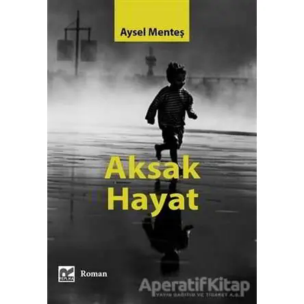 Aksak Hayat - Aysel Menteş - Başka Yerler Yayınları