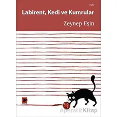 Labirent Kedi ve Kumrular - Zeynep Eşin - Alakarga Sanat Yayınları