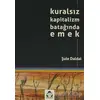 Kuralsız Kapitalizm Batağında Emek - Şule Daldal - Alan Yayıncılık