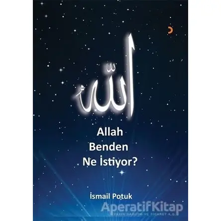 Allah Benden Ne İstiyor? - İsmail Potuk - Cinius Yayınları