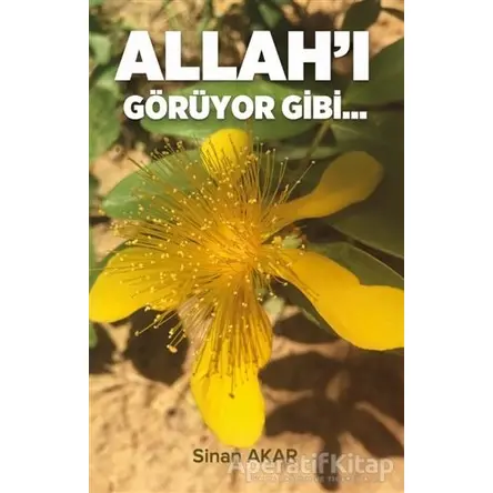 Allahı Görüyor Gibi - Sinan Akar - Beka Yayınları