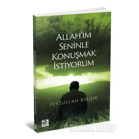 Allahım Seninle Konuşmak İstiyorum - Feyzullah Birışık - Karınca & Polen Yayınları