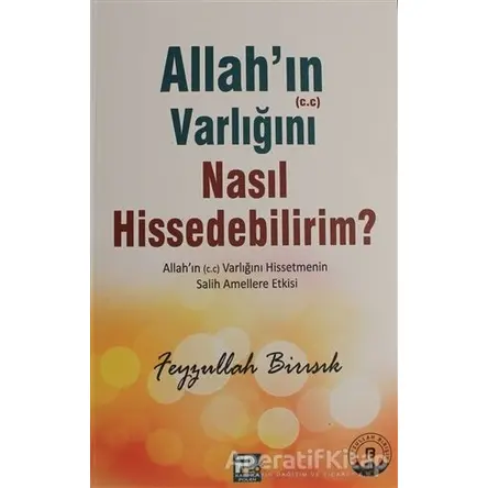 Allahın (c.c) Varlığını Nasıl Hissedebilirim? - Feyzullah Birışık - Karınca & Polen Yayınları