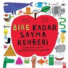 Bire Kadar Sayma Rehberi - Caspar Salmon - Altın Kitaplar