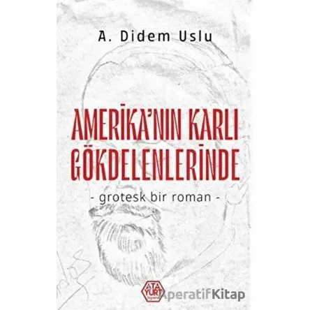 Amerikanın Karlı Gökdelenlerinde - A. Didem Uslu - Atayurt Yayınevi