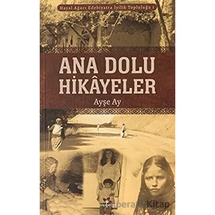 Ana Dolu Hikayeler - Ayşe Ay - Lepisma Sakkarina Yayınları